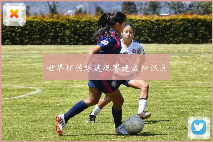 世界杯伪球迷观赛速成知识点