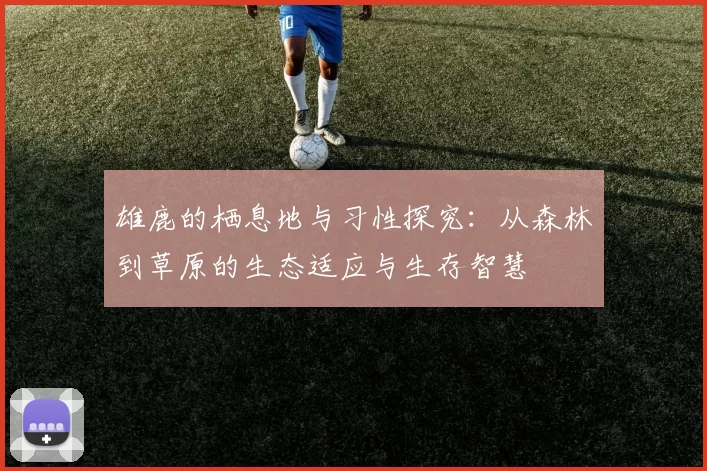 雄鹿的栖息地与习性探究：从森林到草原的生态适应与生存智慧
