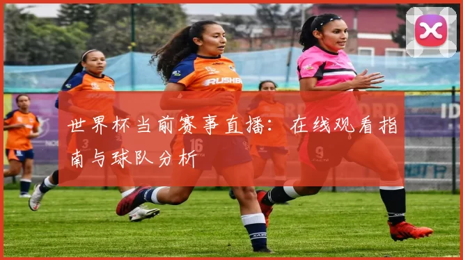 世界杯当前赛事直播：在线观看指南与球队分析