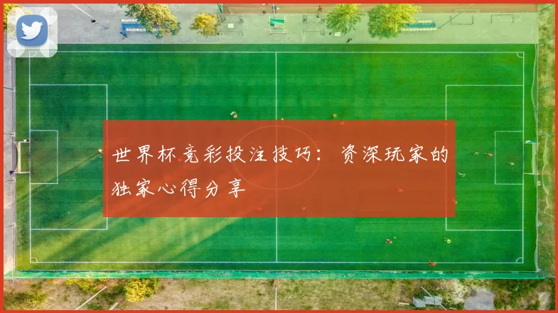 世界杯竞彩投注技巧：资深玩家的独家心得分享