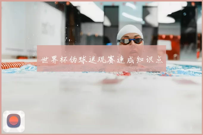 世界杯伪球迷观赛速成知识点