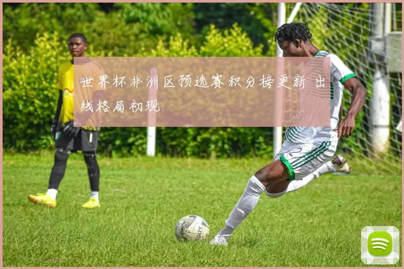 世界杯非洲区预选赛积分榜更新 出线格局初现