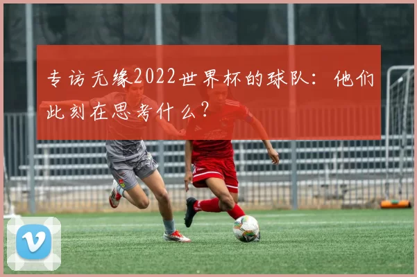 专访无缘2022世界杯的球队:他们此刻在思考什么?