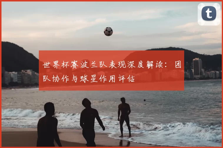 世界杯赛波兰队表现深度解读：团队协作与球星作用评估