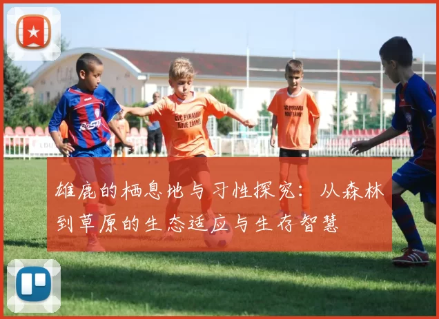 雄鹿的栖息地与习性探究：从森林到草原的生态适应与生存智慧