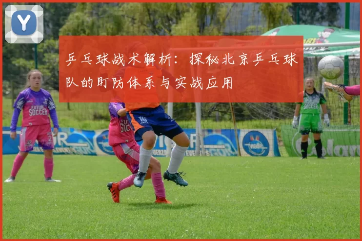 乒乓球战术解析：探秘北京乒乓球队的盯防体系与实战应用