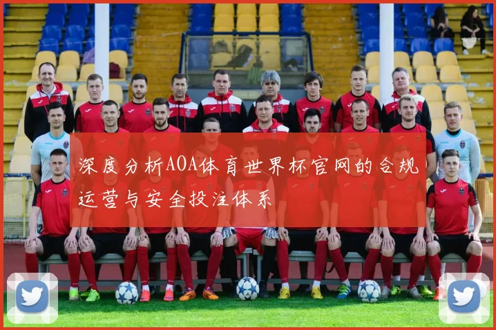 深度分析AOA体育世界杯官网的合规运营与安全投注体系