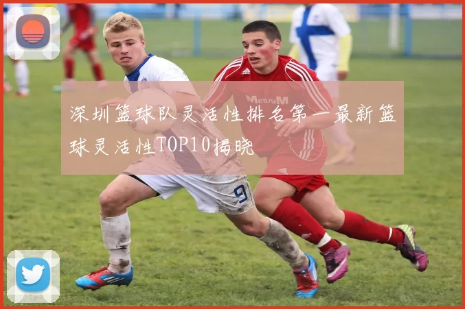 深圳篮球队灵活性排名第一最新篮球灵活性TOP10揭晓