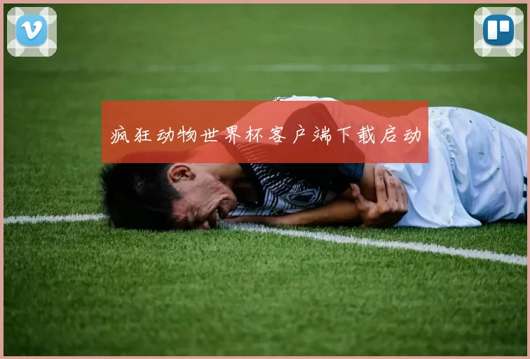 疯狂动物世界杯客户端下载启动
