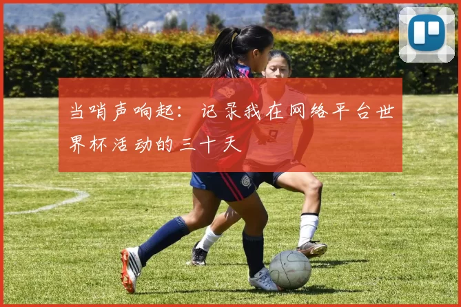 当哨声响起:记录我在网络平台世界杯活动的三十天